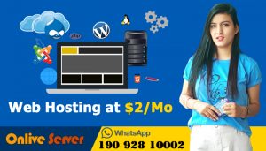 You Need To Know About Best Web Hosting Service