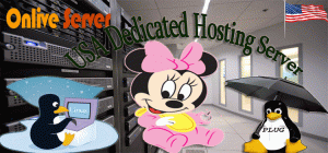 USA Dedicated Hosting Server