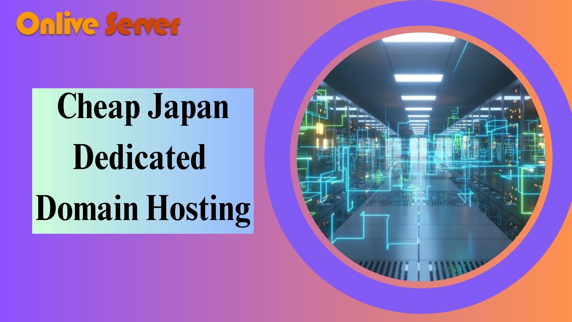 Cheap Japan Dedicated Domain Hosting