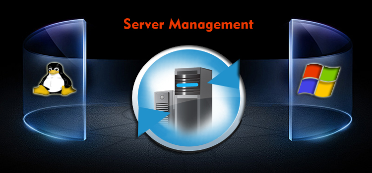 Best 24/7 Server Management Services in USA