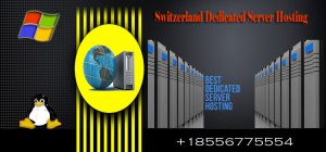 Switzerland Dedicated Server Hosting - Suitable for Online Business Portal