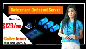 Switzerland Dedicated Server Hosting - Suitable for Online Business Portal