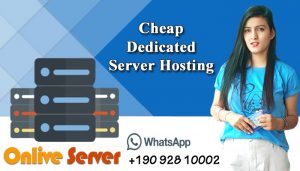 Grab The Professional Cheap Dedicated Server Hosting Plans
