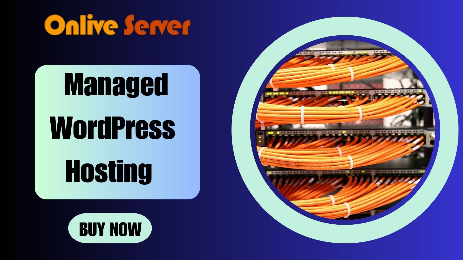 Managed WordPress Hosting