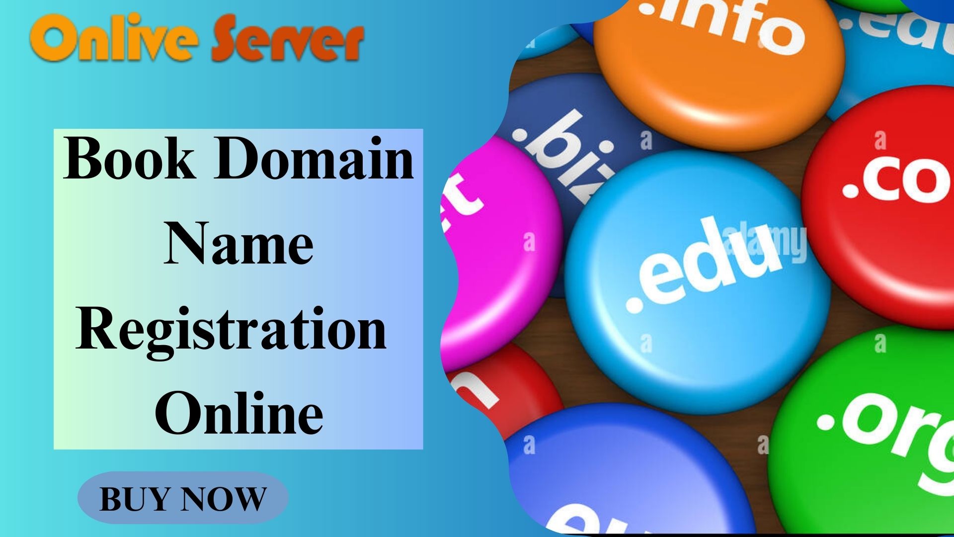 Book Domain Name Registration Online