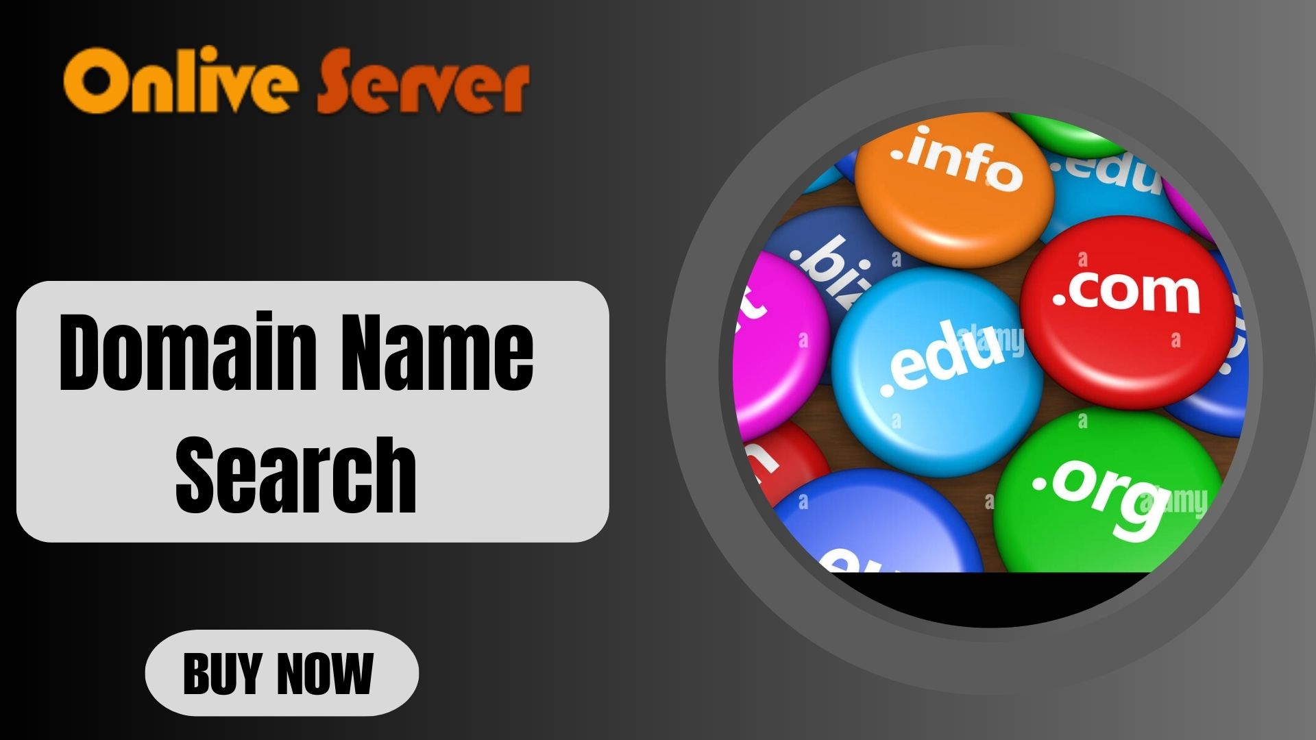 Domain Name Search